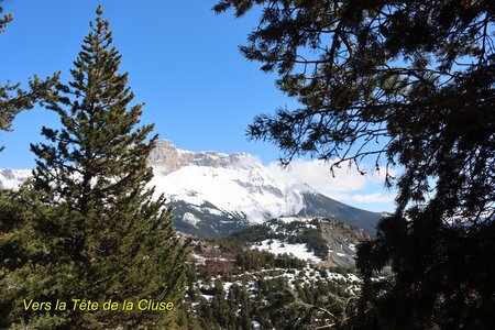 Raquettes à la Cluse, Raquettes &agrave; la Cluse 020