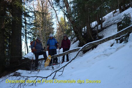Raquettes à la Cluse, Raquettes &agrave; la Cluse 031