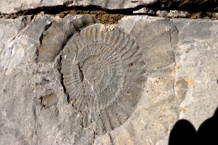 Raquettes à la Cluse, Raquettes &agrave; la Cluse 038