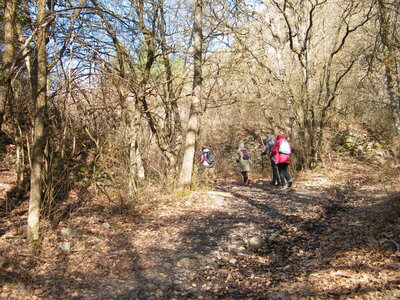 Rando promenade du 17 mars 2026, DSCF9001