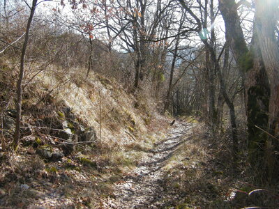Rando promenade du 17 mars 2026, DSCF9003