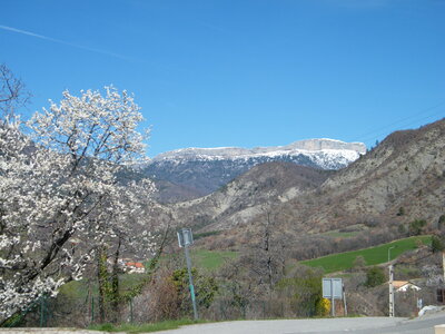 Rando promenade du 17 mars 2026, DSCF9015