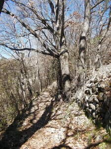 Rando promenade du 17 mars 2026, DSCF9024