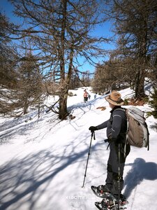 sommet Bûcher, bucher20260319  41 