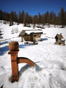 sommet Bûcher, bucher20260319  26 