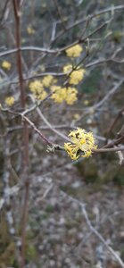 Carnet de Rando #1 Valcroissant 21 mars 2026, 20260321_181728