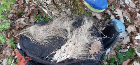 Carnet de Rando #1 Valcroissant 21 mars 2026, 20260321_145133