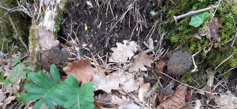 Carnet de Rando #1 Valcroissant 21 mars 2026, 20260321_144415