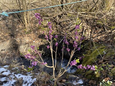 Boucle Rambaud - L'ermitage - Malcorps , IMG_3986