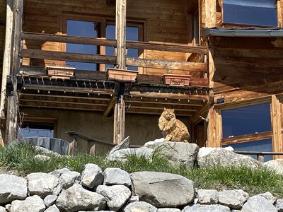 Boucle Rambaud - L'ermitage - Malcorps , IMG_3990