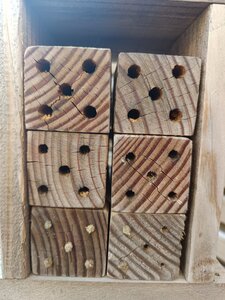 TORII Jardin Isabelle et René, Isabelle et Ren&eacute; 24 mars 2026