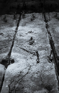 Musées de l'Aube, troyes 11_25-10