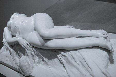 Musées de l'Aube, troyes 11_25-20