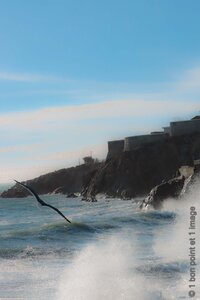 Couleurs de Sète, Couleurs de S&egrave;te_2