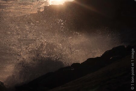 Couleurs de Sète, Couleurs de S&egrave;te_4