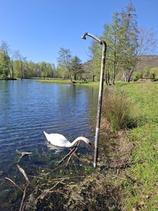 VALDARAN26, 20260405_170611