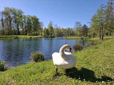 VALDARAN26, 20260405_170831 0 