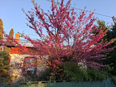 VALDARAN26, 20260405_200207