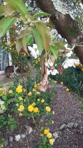 2026, 20260405_200540_1775416509089