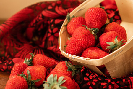 L'Instant Photo 84 : défi mars 2026 : rouge, Rouge05