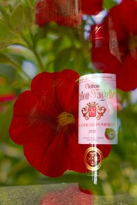 L'Instant Photo 84 : défi mars 2026 : rouge, Rouge06