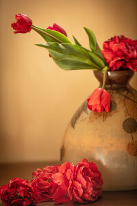 L'Instant Photo 84 : défi mars 2026 : rouge, Rouge13