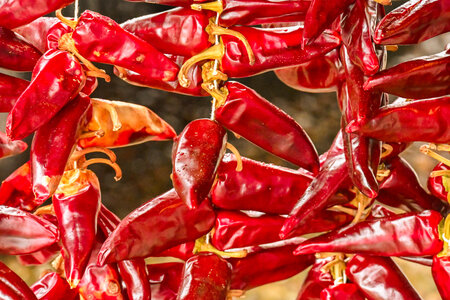 L'Instant Photo 84 : défi mars 2026 : rouge, Rouge14