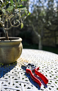 L'Instant Photo 84 : défi mars 2026 : rouge, Rouge18