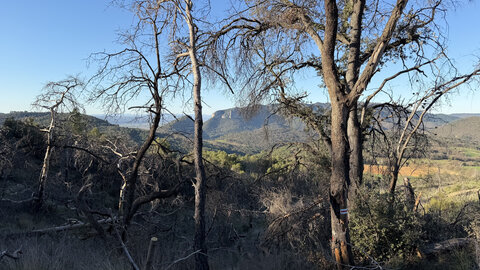 2026-04-08 Encore des bucherons RRA 2026, IMG_4772