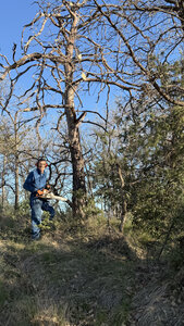 2026-04-08 Encore des bucherons RRA 2026, IMG_4778