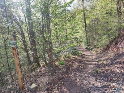 Panneaux en place, IMG_20260408_180634