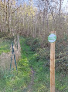 Panneaux en place, IMG_20260408_173040