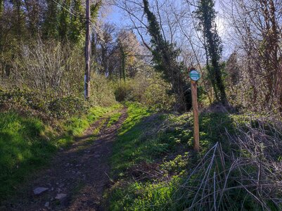 Panneaux en place, IMG_20260408_171048
