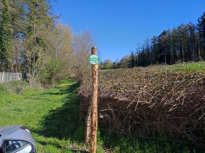 Panneaux en place, IMG_20260408_163930