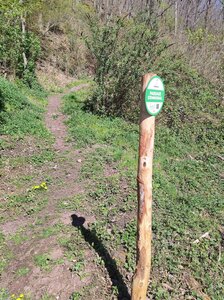 Panneaux en place, IMG_20260408_153026