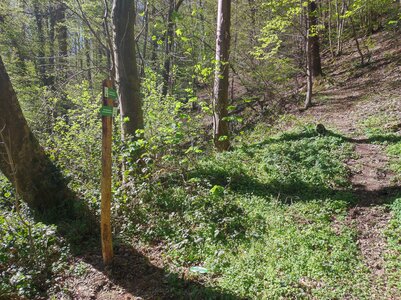 Panneaux en place, IMG_20260408_151918