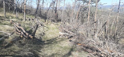 2026-04-08 Encore des bucherons RRA 2026, IMG-20260408-WA0005