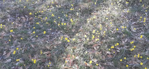 2026-04-08 Encore des bucherons RRA 2026, IMG-20260408-WA0006