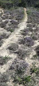 2026-04-08 Encore des bucherons RRA 2026, IMG-20260408-WA0009