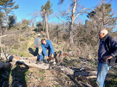 2026-04-08 Encore des bucherons RRA 2026, 20260408_084201-1775745614333