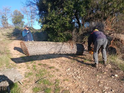 2026-04-08 Encore des bucherons RRA 2026, 20260408_084331-1775745614328