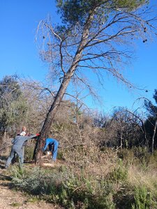 2026-04-08 Encore des bucherons RRA 2026, 20260408_085307-1775745522842