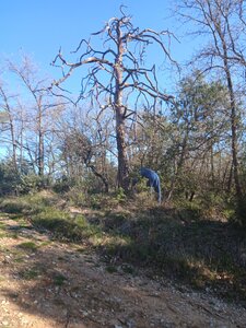 2026-04-08 Encore des bucherons RRA 2026, 20260408_085424-1775745522842