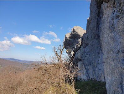 RNRCR questionnaire2, Capture d&rsquo;&eacute;cran 2026-04-10 101833