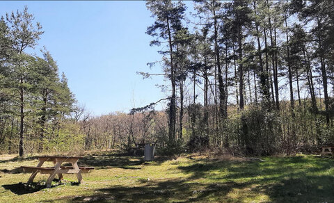 RNRCR questionnairegp 5, Capture d&rsquo;&eacute;cran 2026-04-10 104442