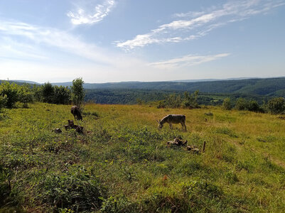 RNRCR questionnaire gp 7, Capture d&rsquo;&eacute;cran 2026-04-10 104855