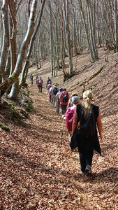 Louchadière, IMG_20260410_155332