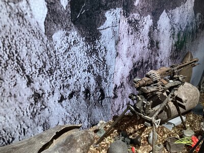 PONTECORVO AVRIL 2026 AVEC THIERRY BRIGITTE ET CLAUDE, IMG_7554