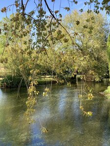 PONTECORVO AVRIL 2026 AVEC THIERRY BRIGITTE ET CLAUDE, IMG_7573