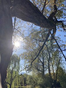 PONTECORVO AVRIL 2026 AVEC THIERRY BRIGITTE ET CLAUDE, IMG_7574